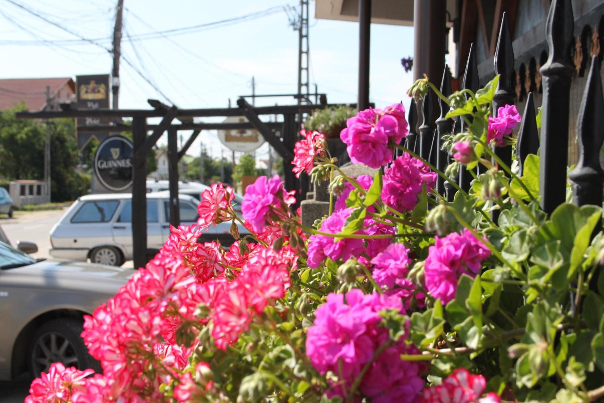 Hotel Lacetate Pitesti Luaran gambar