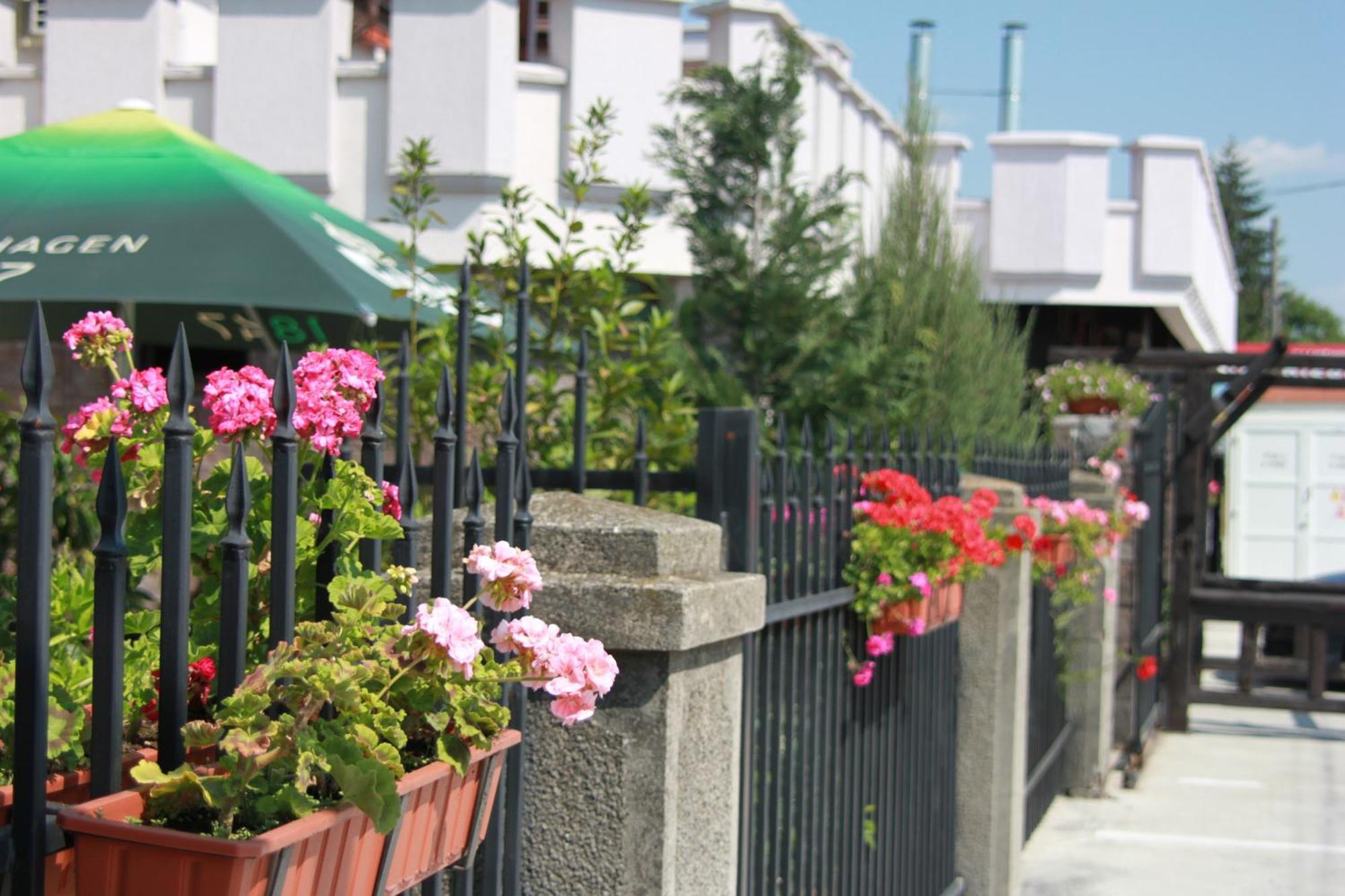 Hotel Lacetate Pitesti Luaran gambar